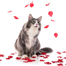 Charger l'image dans la galerie, Cats 2027 (Item #2642) -  ** SHIPPING IN SEPTEMBER ** 12x24 Refill Sheet Calendar - BONUS POCKET PLANNER &amp; BOOKMARK WHILE QUANTITIES LAST
