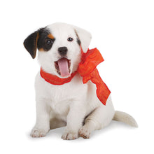 Load image into Gallery viewer, Puppies 2026 (Item #26606) - 12x24 Refill Sheet Calendar - BONUS POCKET PLANNER &amp; BOOKMARK WHILE QUANTITIES LAST
