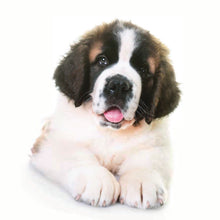 Load image into Gallery viewer, Puppies 2026 (Item #26606) - 12x24 Refill Sheet Calendar - BONUS POCKET PLANNER &amp; BOOKMARK WHILE QUANTITIES LAST
