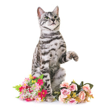 Load image into Gallery viewer, Cats 2026 (Item #2642) - 12x24 Refill Sheet Calendar - BONUS POCKET PLANNER &amp; BOOKMARK WHILE QUANTITIES LAST
