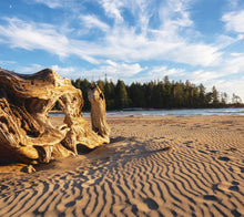 Load image into Gallery viewer, Ô Canada 2026 (Article #32028) - Recharge de 12 x 24 feuille calendrier
