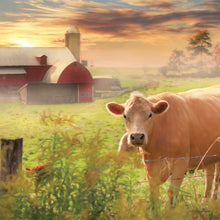 Load image into Gallery viewer, Beckoning Barns 2026 (Item #33012) - 12x24 Refill Sheet Calendar - BONUS POCKET PLANNER &amp; BOOKMARK WHILE QUANTITIES LAST
