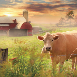 Beckoning Barns 2026 (Item #33012) - 12x24 Refill Sheet Calendar - BONUS POCKET PLANNER & BOOKMARK WHILE QUANTITIES LAST