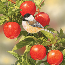 Charger l&#39;image dans la galerie, Feathered Friends 2026 (Item #9372) - 12x24 Refill Sheet Calendar - BONUS POCKET PLANNER &amp; BOOKMARK WHILE QUANTITIES LAST
