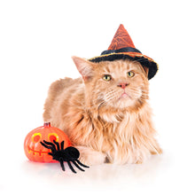 Load image into Gallery viewer, Cats 2026 (Item #2642) - 12x24 Refill Sheet Calendar - BONUS POCKET PLANNER &amp; BOOKMARK WHILE QUANTITIES LAST
