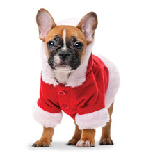Load image into Gallery viewer, Puppies 2026 (Item #26606) - 12x24 Refill Sheet Calendar - BONUS POCKET PLANNER &amp; BOOKMARK WHILE QUANTITIES LAST
