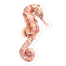 Load image into Gallery viewer, Hopper Studios Vinyl Stickers - Sebastian the Seahorse
