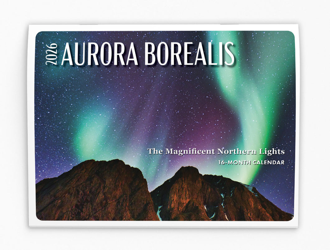 Aurora Borealis Folding Calendar 2026 (Item # 289963)