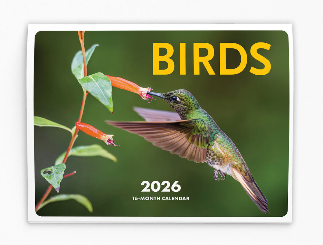 Birds Folding Calendar 2026 (Item # 289984)
