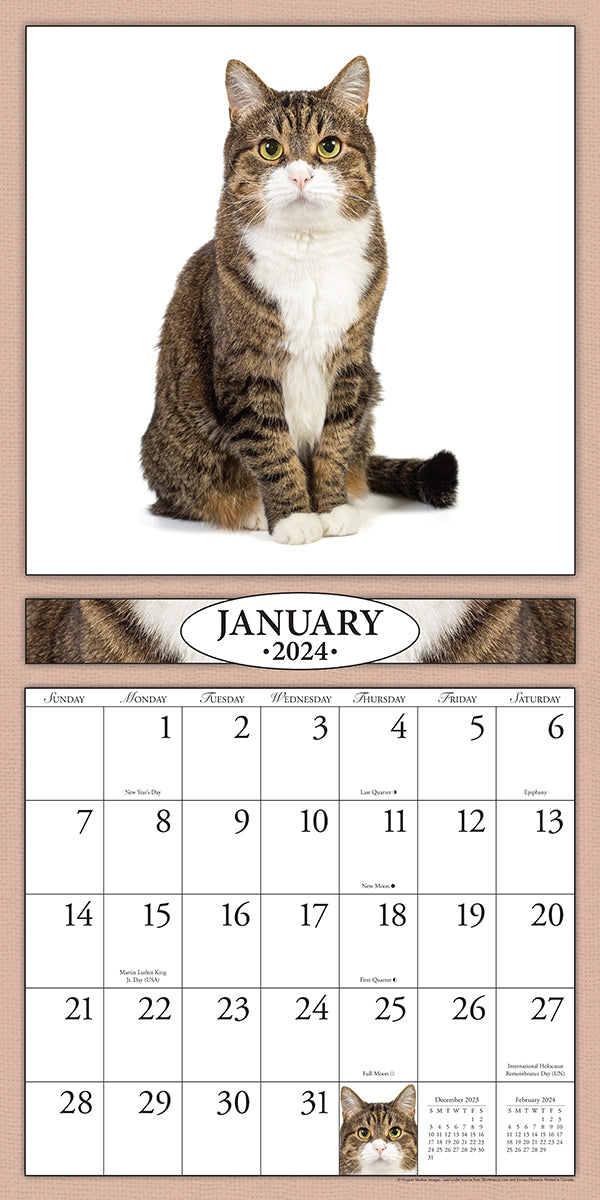 Cats 2024 (Item 2642) 12x24 Refill Sheet Calendar BONUS POCKET PL