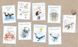 Hopper Studios *Coastal* Greeting Cards - Birthday Mixed 6 Pack