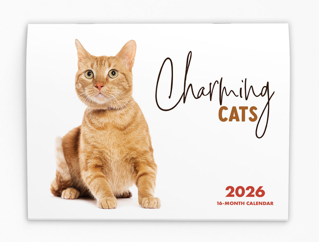 Charming Cats Folding Calendar 2026 (Item # 289822)