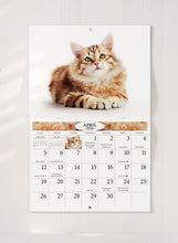 Charger l&#39;image dans la galerie, Charming Cats Folding Calendar 2026 (Item # 289822)

