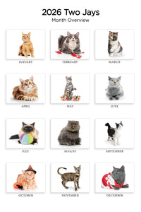 Charming Cats Folding Calendar 2026 (Item # 289822)