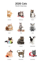 Load image into Gallery viewer, Cats 2026 (Item #2642) - 12x24 Refill Sheet Calendar - BONUS POCKET PLANNER &amp; BOOKMARK WHILE QUANTITIES LAST
