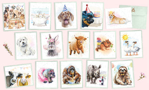 Hopper Studios Enclosure Birthday Cards - Mixed 6 packs
