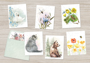 Hopper Studios Enclosure Cards - Varied Occasion Mixed 6 packs