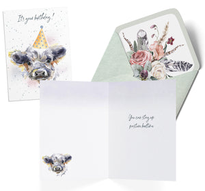 Hopper Studios Greeting Cards - Mixed 6 Pack