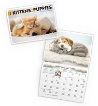 Charger l&#39;image dans la galerie, Kittens &amp; Puppies Folding Calendar 2026 (Item # 289600)
