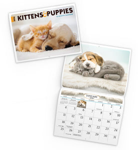 Kittens & Puppies Folding Calendar 2026 (Item # 289600)