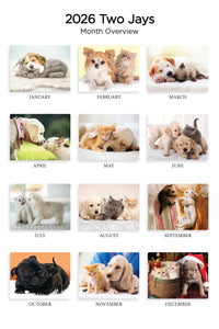 Kittens & Puppies Folding Calendar 2026 (Item # 289600)