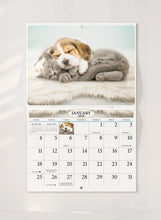 Charger l&#39;image dans la galerie, Kittens &amp; Puppies Folding Calendar 2026 (Item # 289600)
