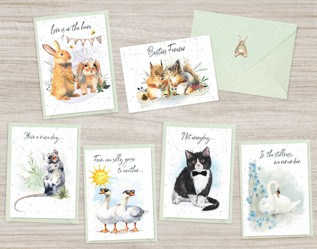Hopper Studios Greeting Cards - Varied Occasion Mixed 6 Pack