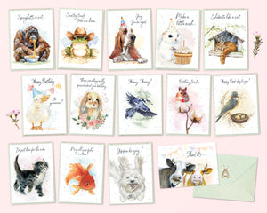 Hopper Studios Birthday Greeting Cards - Mixed 6 Pack