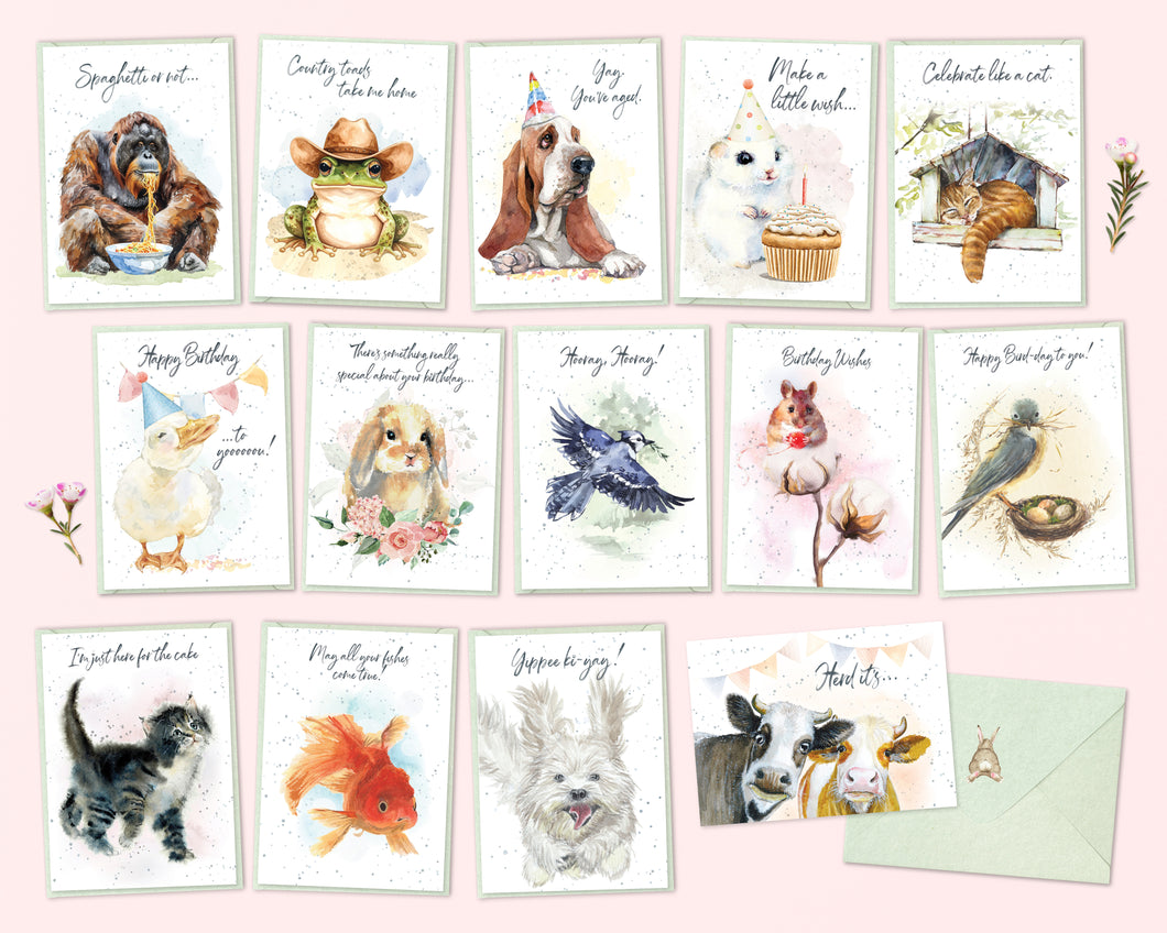 Hopper Studios Birthday Greeting Cards - Mixed 6 Pack
