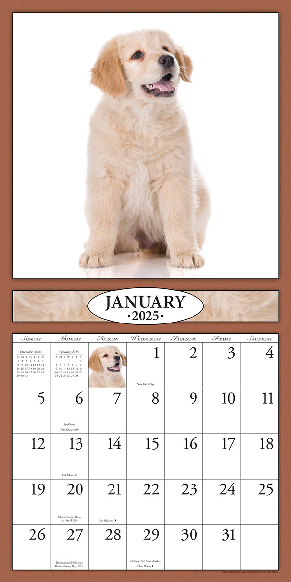 Puppies 2025 item 26606 12x24 refill sheet calendar bonus pocke