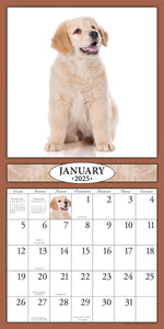 Puppies 2025 (Item #26606) - 12x24 Refill Sheet Calendar - BONUS POCKET PLANNER & BOOKMARK WHILE QUANTITIES LAST