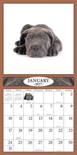 Charger l'image dans la galerie, Puppies 2027 (Item #26606) -  ** SHIPPING IN SEPTEMBER ** 12x24 Refill Sheet Calendar - BONUS POCKET PLANNER &amp; BOOKMARK WHILE QUANTITIES LAST
