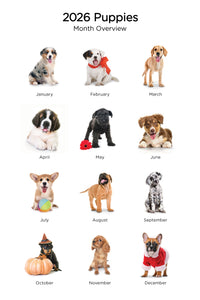 Puppies 2026 (Item #26606) - 12x24 Refill Sheet Calendar - BONUS POCKET PLANNER & BOOKMARK WHILE QUANTITIES LAST