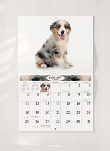 Puppy Love Folding Calendar 2026 (Item # 289623)