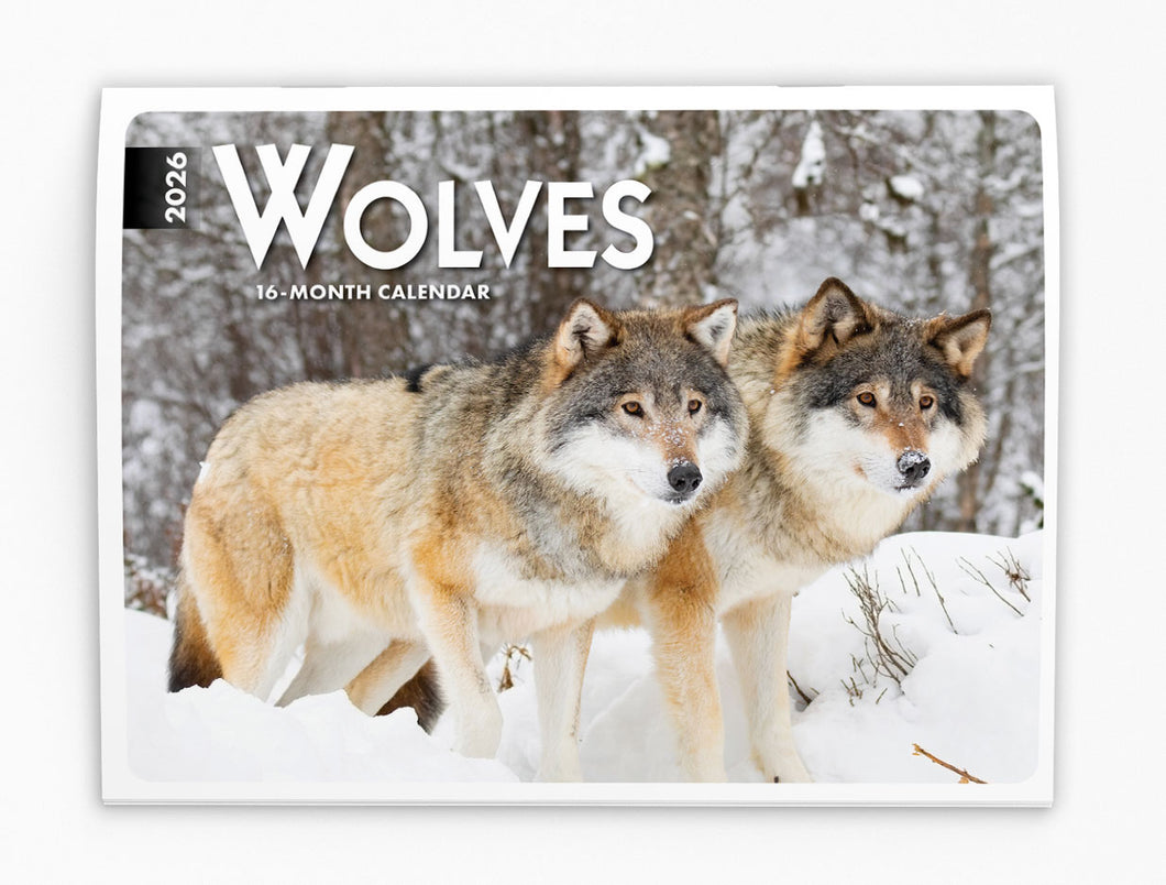 Wolves Folding Calendar 2026 (Item # 289543)