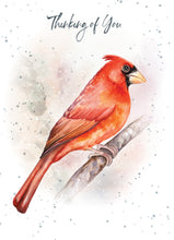 Load image into Gallery viewer, Hopper Studios Greeting Cards - Mixed 6 Pack
