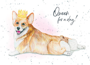 Hopper Studios Greeting Cards - Mixed 6 Pack