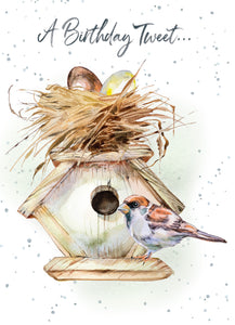 Hopper Studios Greeting Cards - Mixed 6 Pack