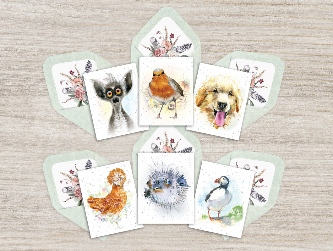Hopper Studios Enclosure Cards - Mixed 6 packs